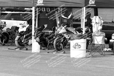 media/Feb-23-2024-2WTD (Fri) [[a719da276a]]/1-Around the Pits/